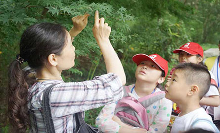 亲近母语夏令营