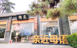 【樱洲书房】樱花季活动报名开始啦 | 活动回顾