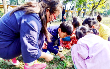 母语之美•幼儿-樱洲书房